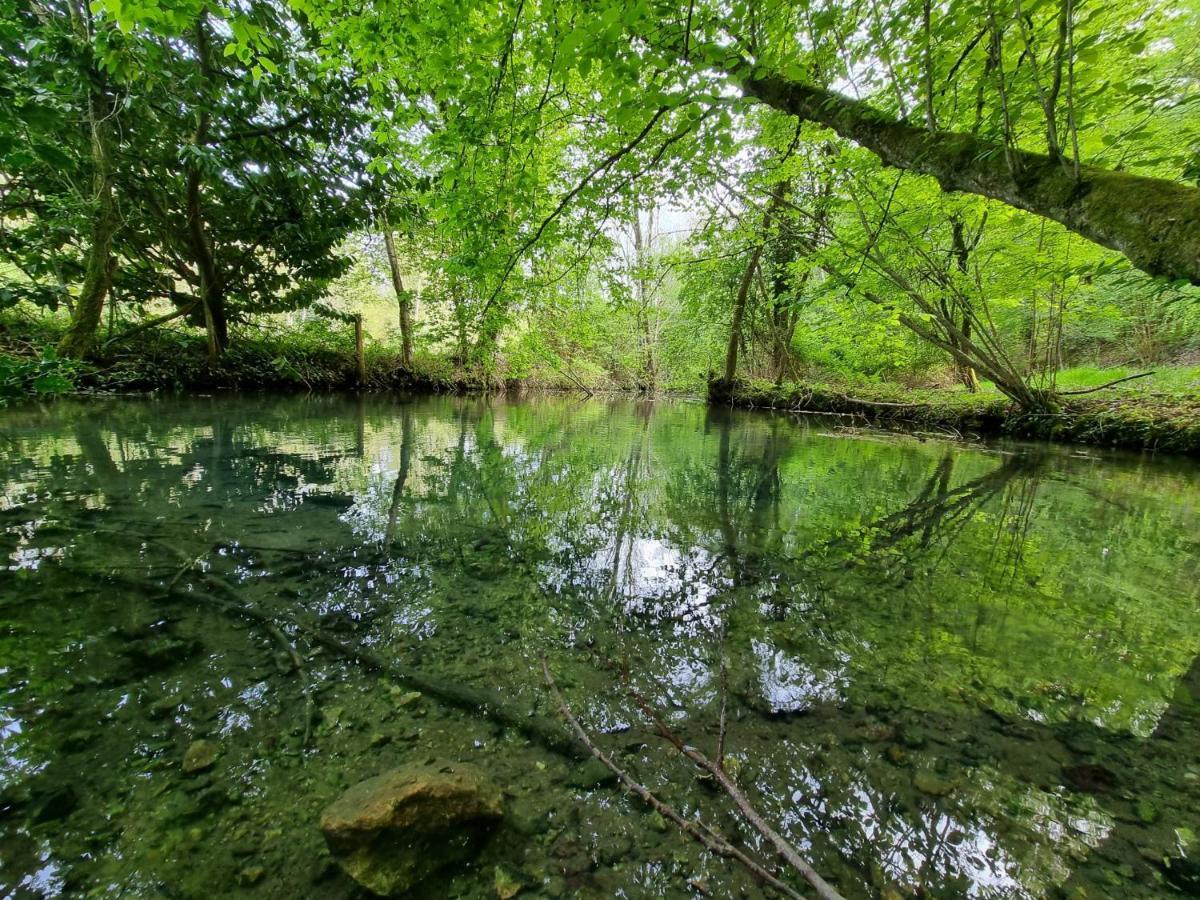Le Domaine du Cerf - Gites et nature Saint-Ouen-les-Vignes Extérieur photo