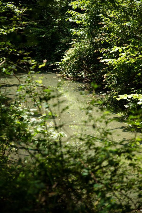 Le Domaine du Cerf - Gites et nature Saint-Ouen-les-Vignes Extérieur photo
