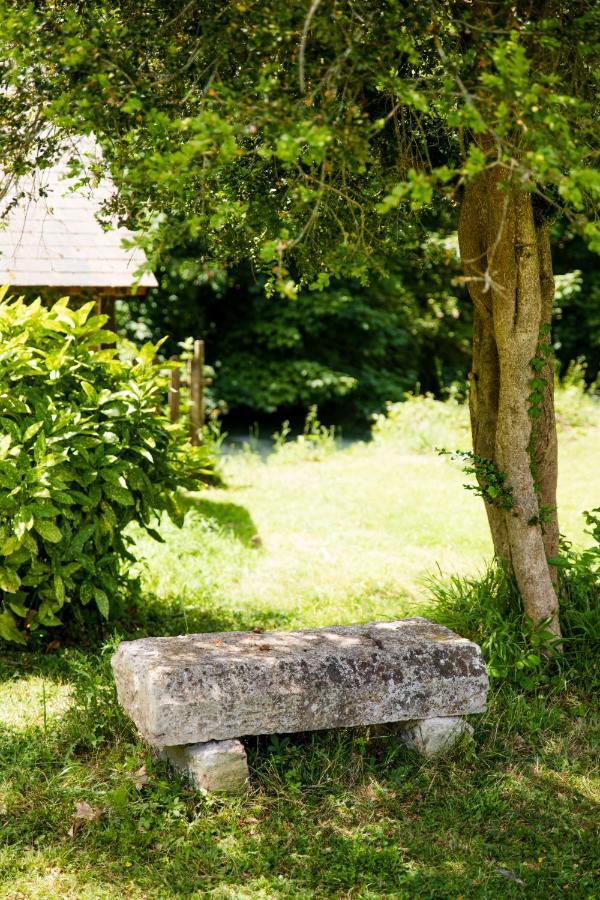 Le Domaine du Cerf - Gites et nature Saint-Ouen-les-Vignes Extérieur photo